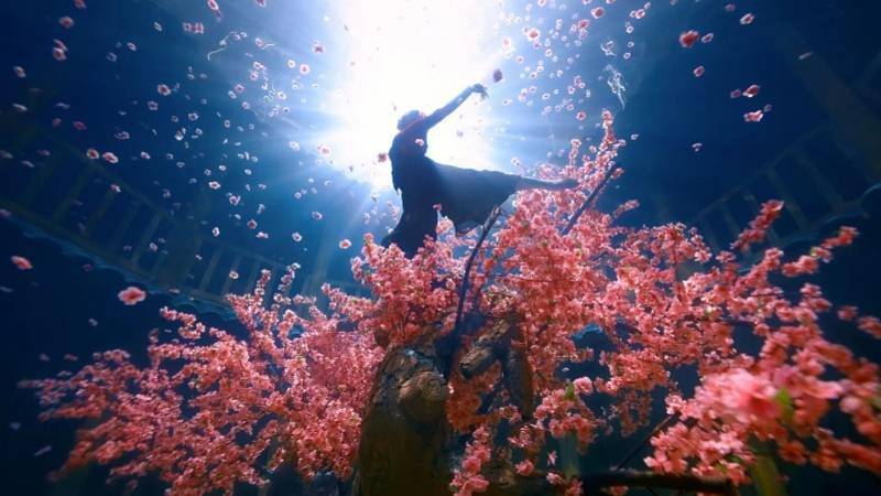 郭吉勇|导演揭秘水下版“大鱼海棠”：搭建客家土楼实现“人鱼共舞”