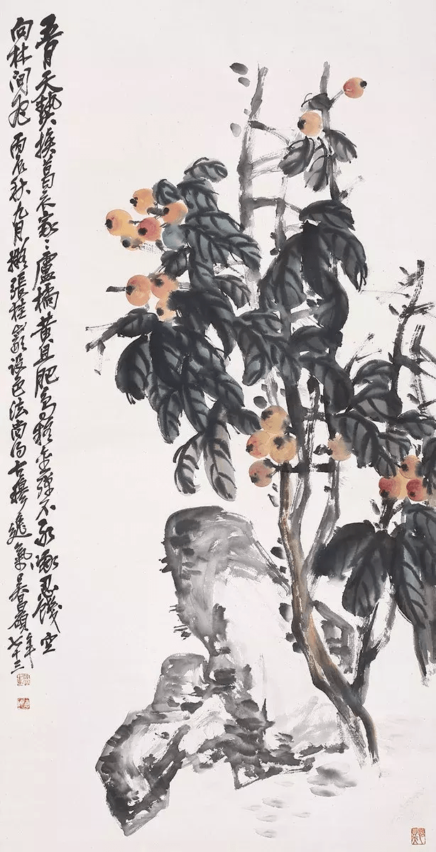 肉筆 珍藏 大幅 枇杷畫 吳昌碩 吴昌硕画枇杷_搜狐网