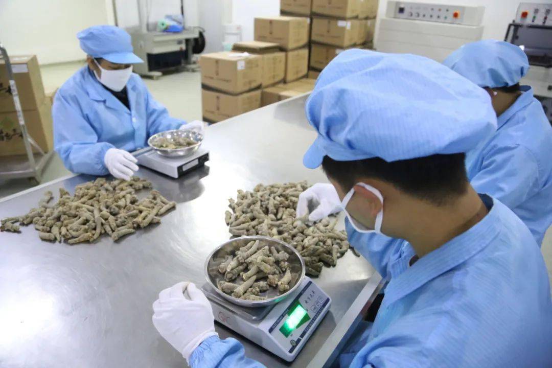 修剪|又双叒“吃土”了？三七虽好，可别自己乱打粉！