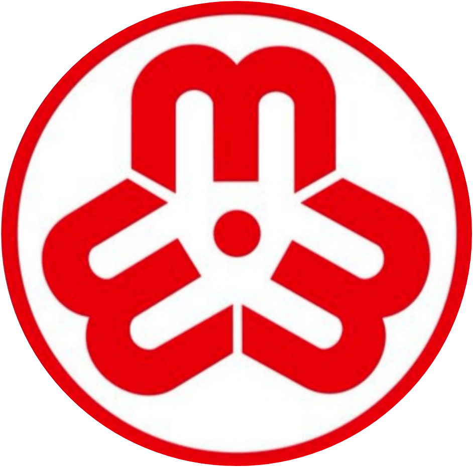 文明实践在"疫"线 丨两当县:防疫她力量 巾帼显担当