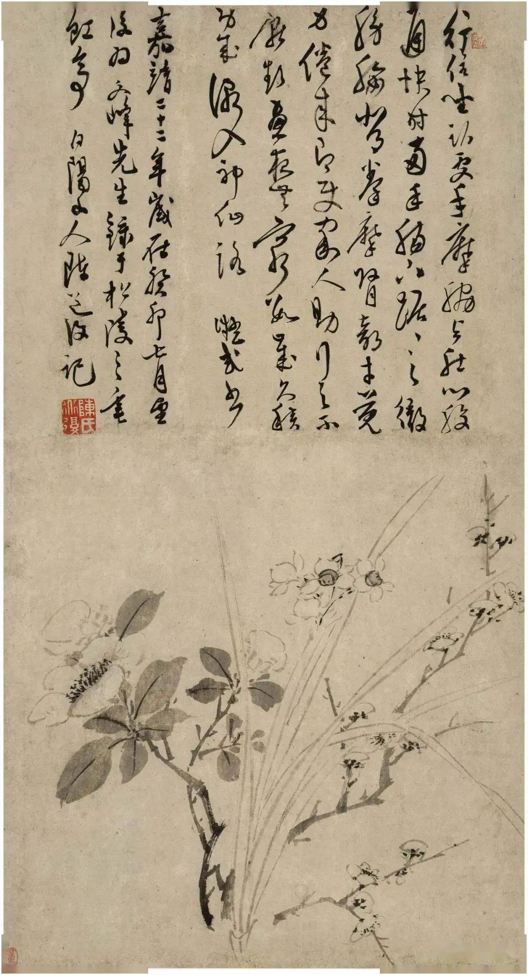 青藤白阳明朝花鸟两大高峰