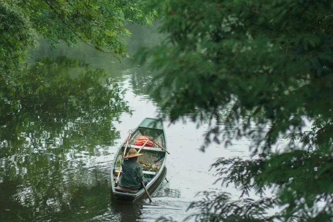 西湖|元旦可用，私享西湖边避世秘境，百亩茶园溪流环绕，270°坐拥无敌视野！