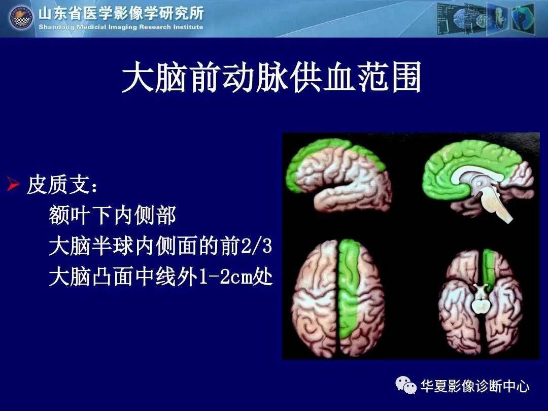 诊断|缺血性脑血管病的影像诊断