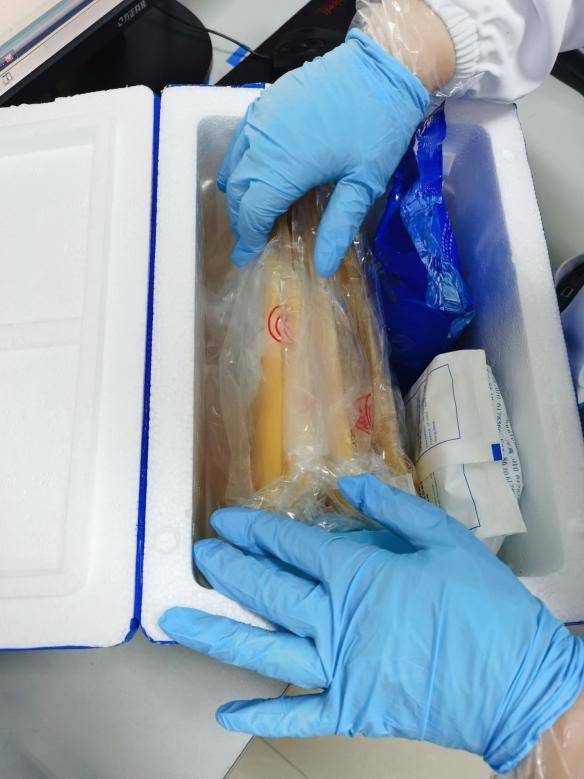 长沙血液中心驰援甘肃陕西等地新冠恢复期血浆