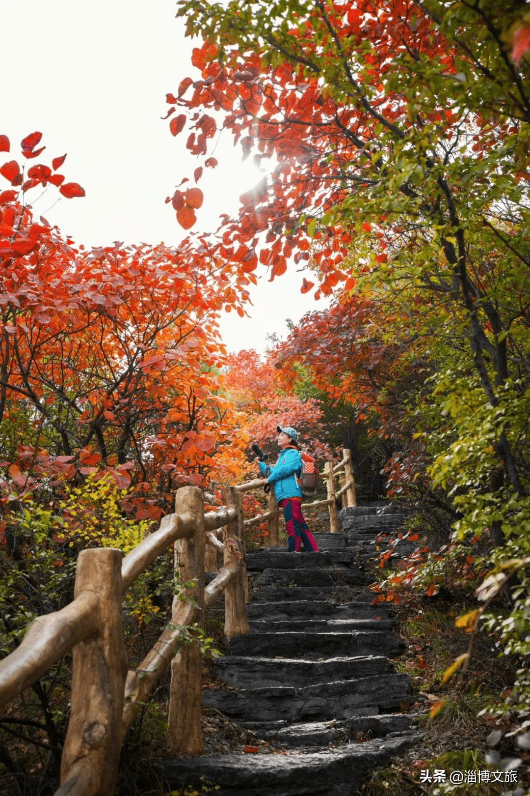 淄川红叶景点大全图片