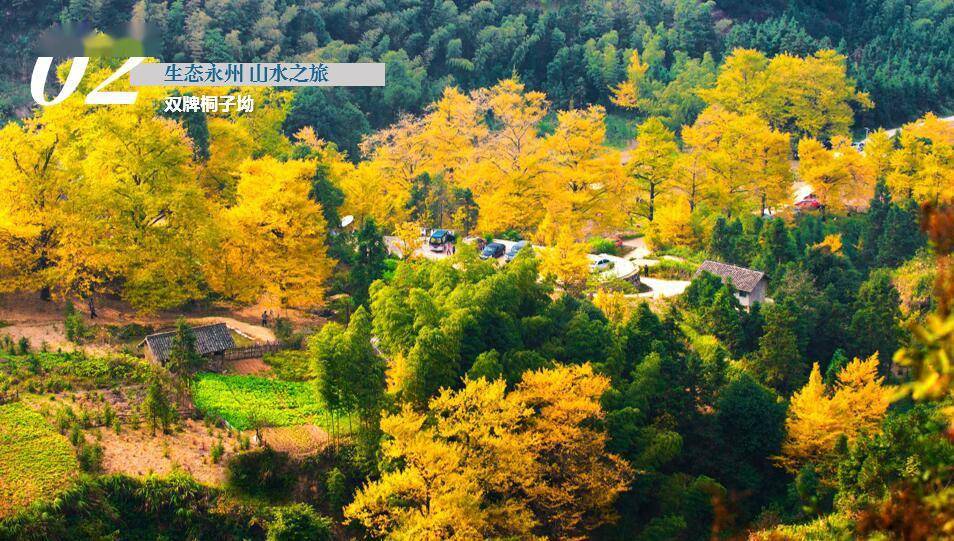 千年|快收藏！永州这4条旅游线路，官方在深圳进行了重点推荐