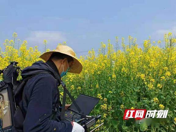 农业|赞！程序员教师既能下地种田，又能授业解惑