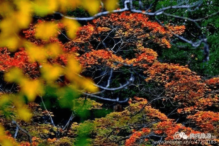 小城|汉中这个山水小城，邀您秋游入画！