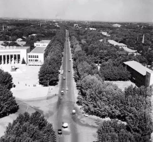 这些老照片让人动容!文末有个征集邀您参与_新郑市