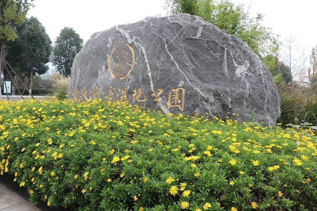 【赏图】秋日胜春朝,眉山东坡城市湿地公园秋花烂漫