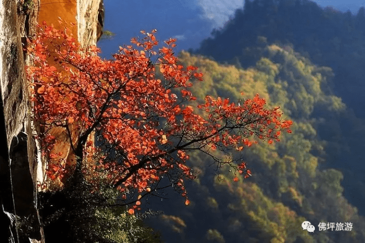 小城|汉中这个山水小城，邀您秋游入画！