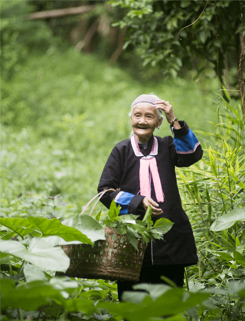 全线通车后,原都安瑶族自治县至巴马瑶族自治县3个小时的车程可以缩短