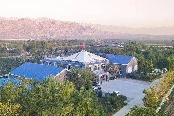 贺兰晴|线上云赏秋——疫情过后,来一场浪漫的酒庄之旅!