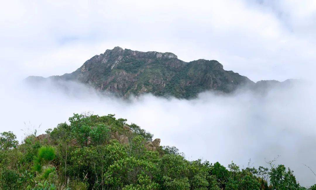 【白马山】11月13日晚-14日 勇登惠东白马山 看绝壁怪石峰林_活动