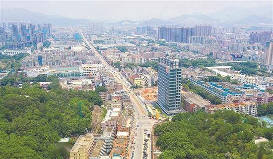 塘厦宏业北路 西湖中心路 迎宾大道 升级改造工程正计划推进未来有望告别坑洼 塘厦镇