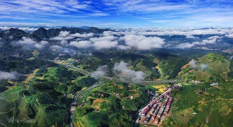 大田举办首届象山岩杯铁观音斗茶赛