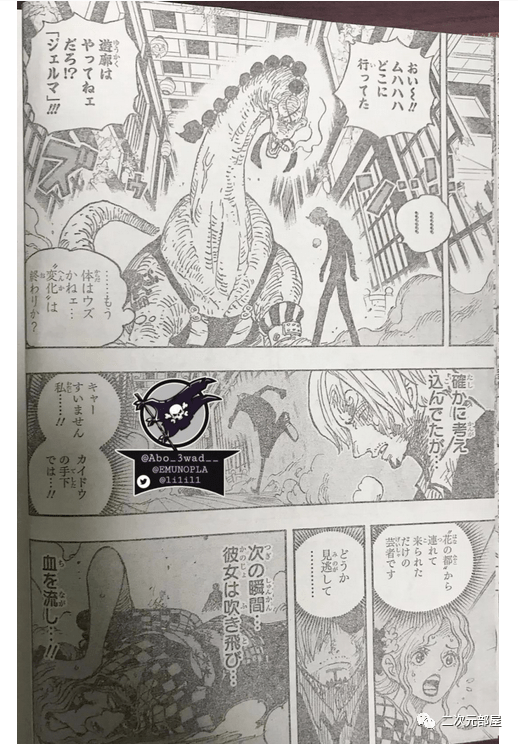 重磅海贼王1031全图透