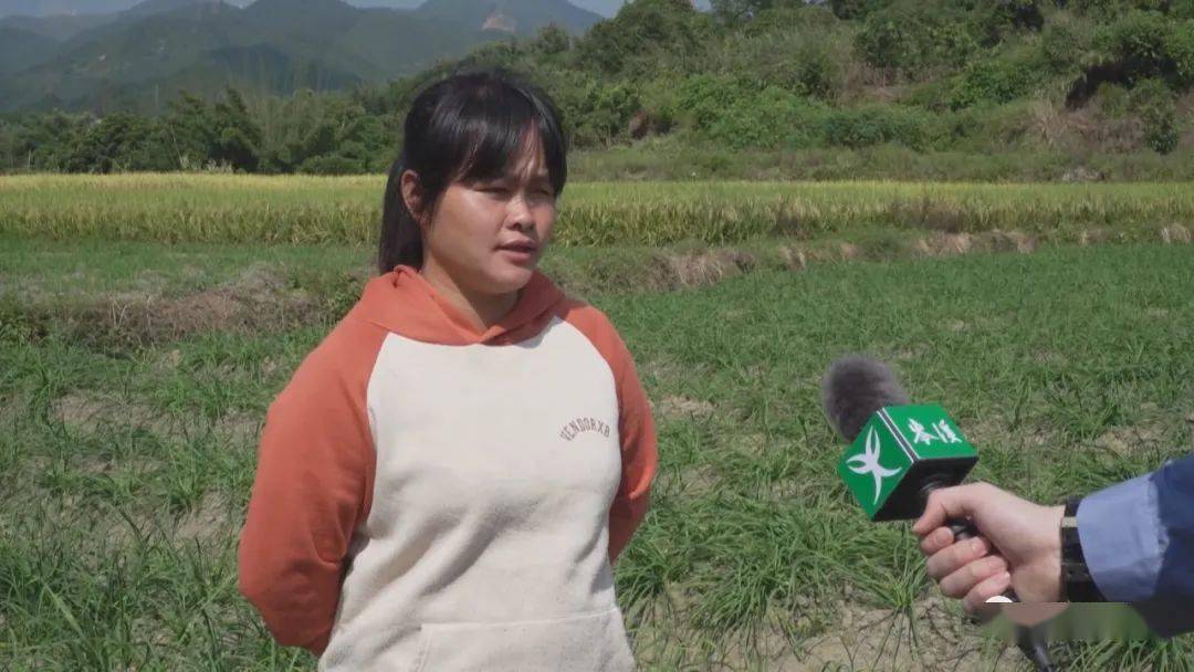 岑溪市大隆镇福隆村韭菜花种植带动村民增收致富