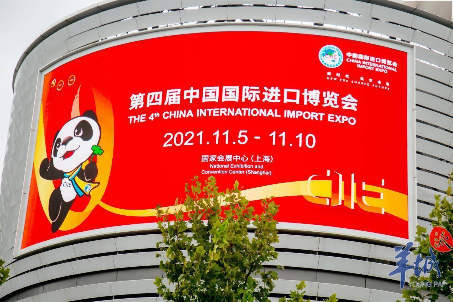 「图集」走!第四届进博会开展在即,记者提前探营"四叶草"