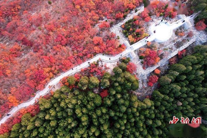 济南|山东济南“半边翠绿半边红”蝎子山成“网红”打卡地