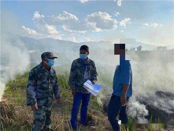 秸秆禁烧法律依据 11445eb343374398be4b5913cbd28072.jpeg