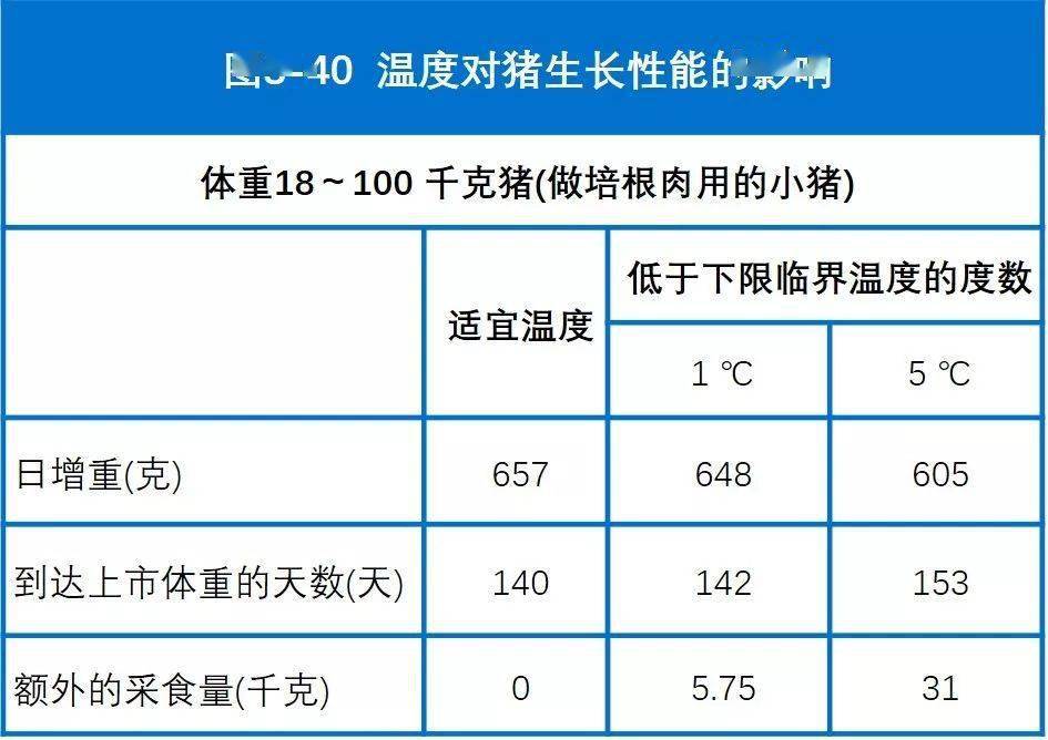 属猪的适宜戴什么首饰