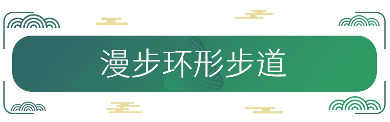 向日葵|绝美！深圳又一大片花海盛开！免费免预约！