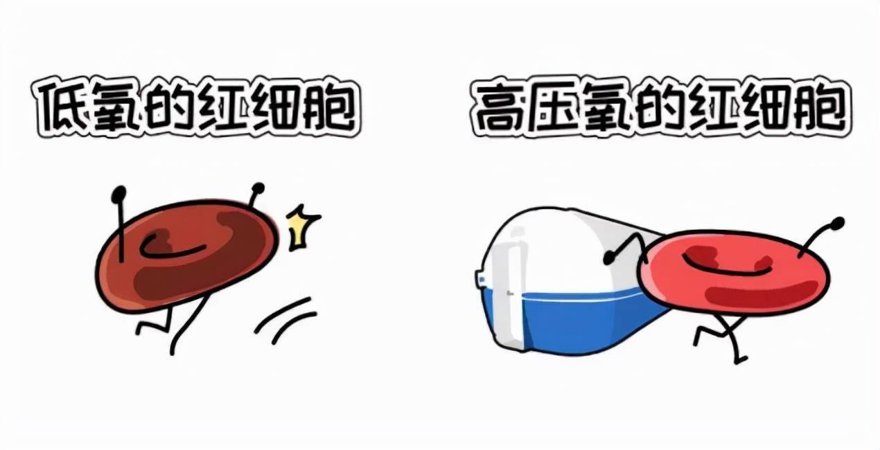关爱父母健康从改善供氧开始
