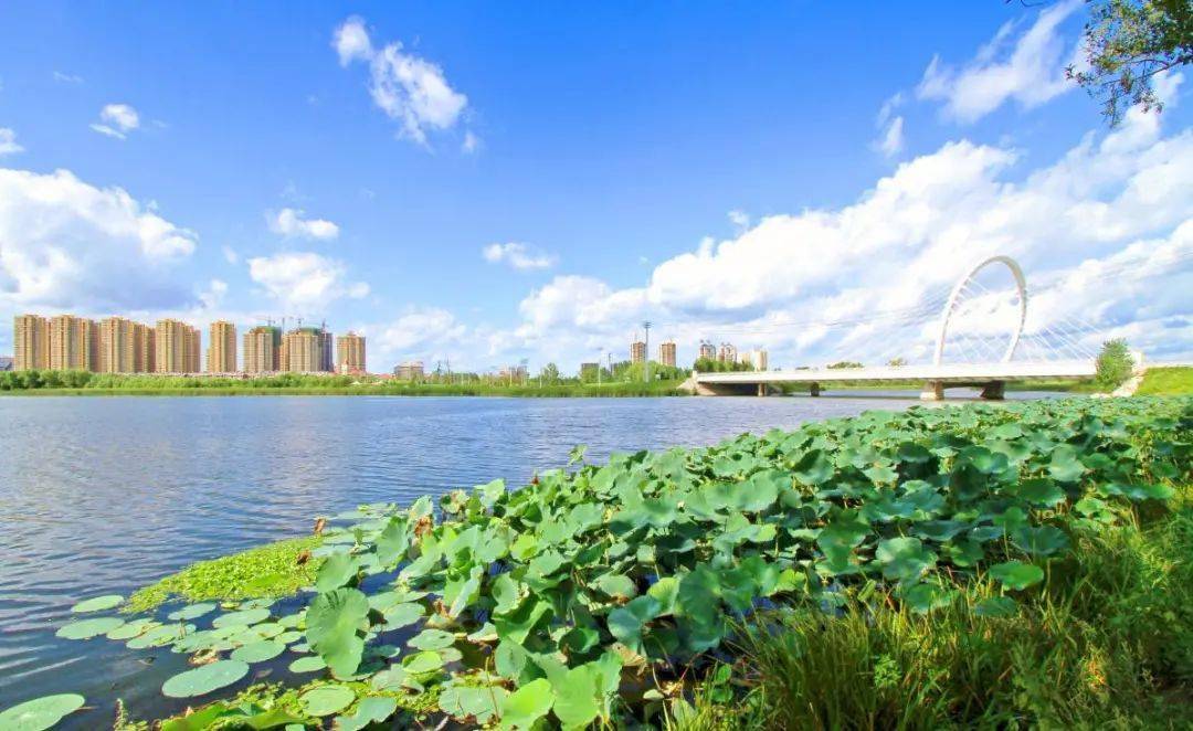 看看这里的幸福家底有多厚探访沈北新区居民的幸福生活