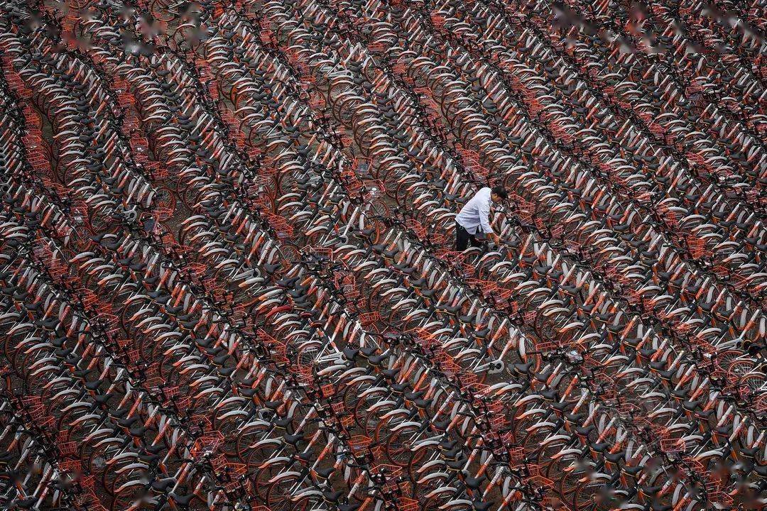 浙江省|2021丽水摄影节 | 《我和地球争呼吸》郑祖林摄影作品展