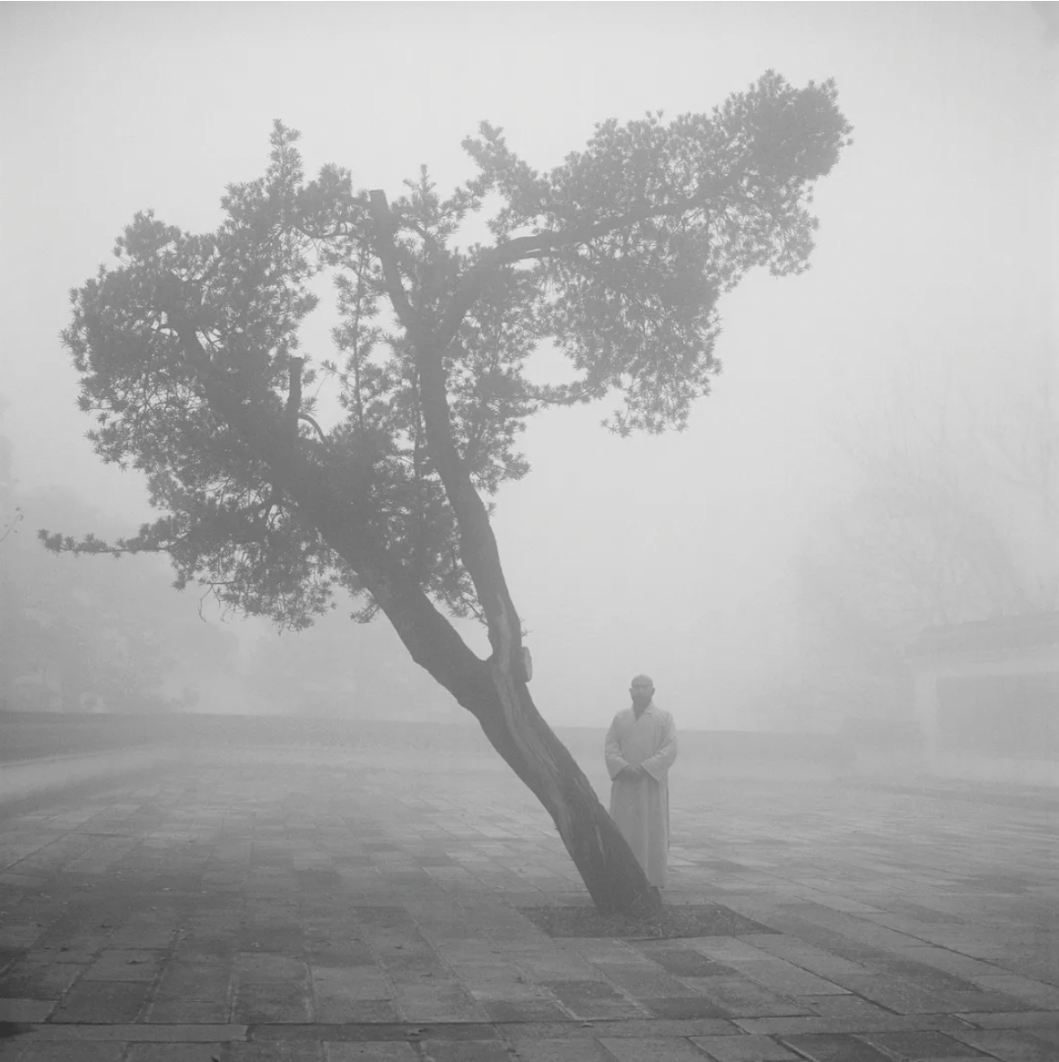 20832fd5b85447f289134e6fc24ec344.png