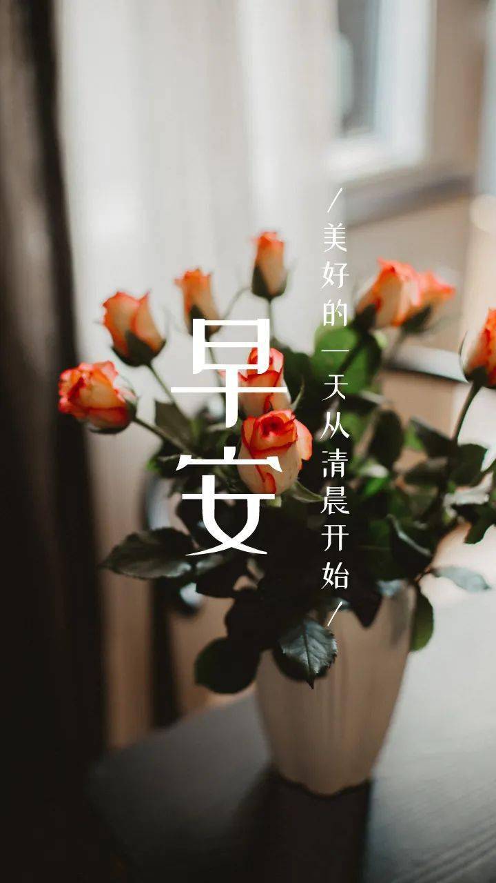 早安晚安文案圖片早上好祝福語