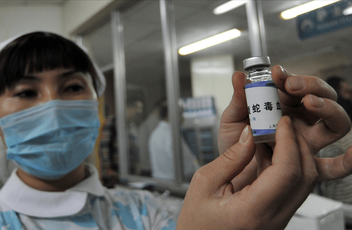 毒蛇泡酒12个月后复活一口咬人致死为啥还没死透