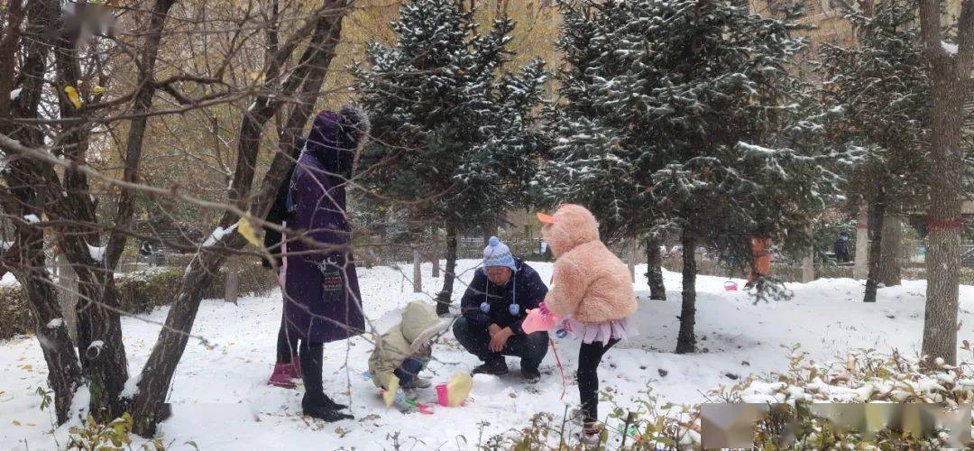 积雪|呼和浩特迎来今冬首场降雪！朋友圈一片银装素裹，美成这样...