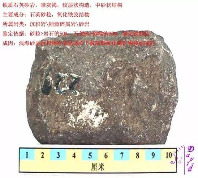 鐵質石英砂岩鐵鮞鋁質巖燧石岩石英雜砂岩石英岩石膏巖生物碎屑顆粒灰