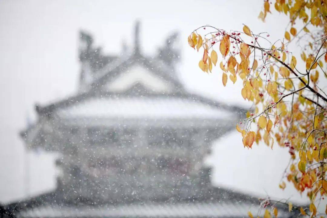 千里一色山东高校的初雪遇上立冬浪漫绝绝子