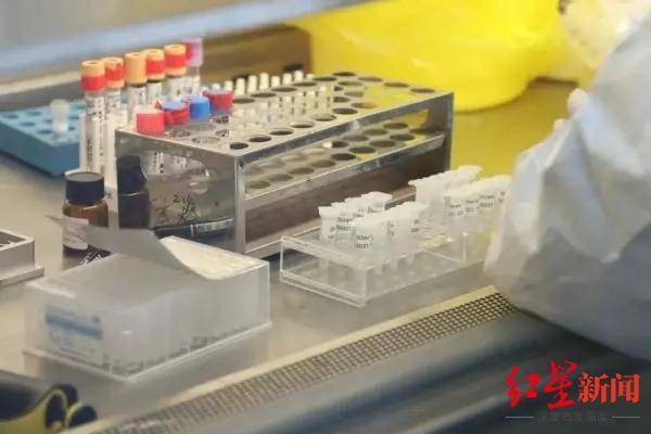 检测|核酸结果出得太慢？从采样到出结果，一份标本要走七大步骤