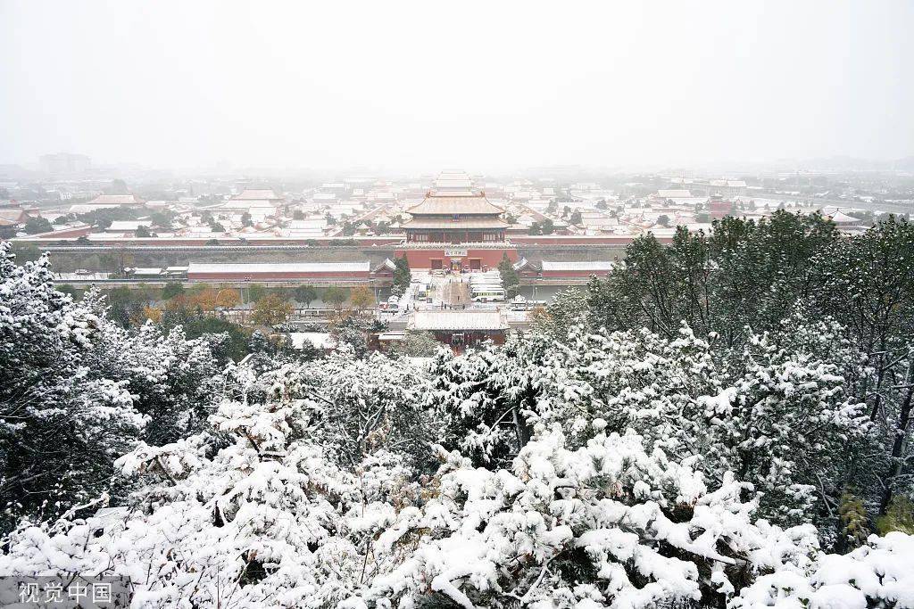 大雪|雪，一片一片一片一片......