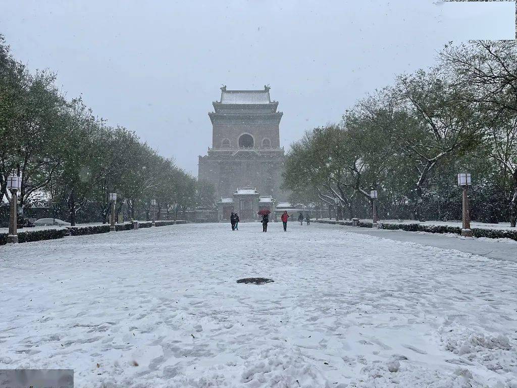 大雪|雪，一片一片一片一片......