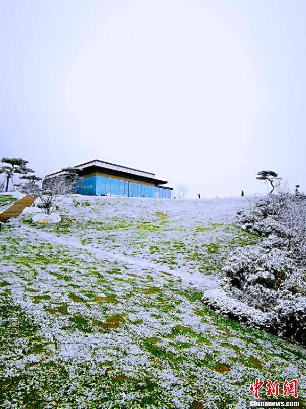 四川泸州之巅罗汉林迎来今冬第一场雪