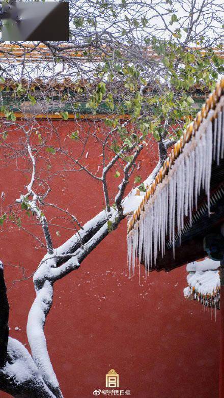 雪景来了！终于等到故宫雪景新片