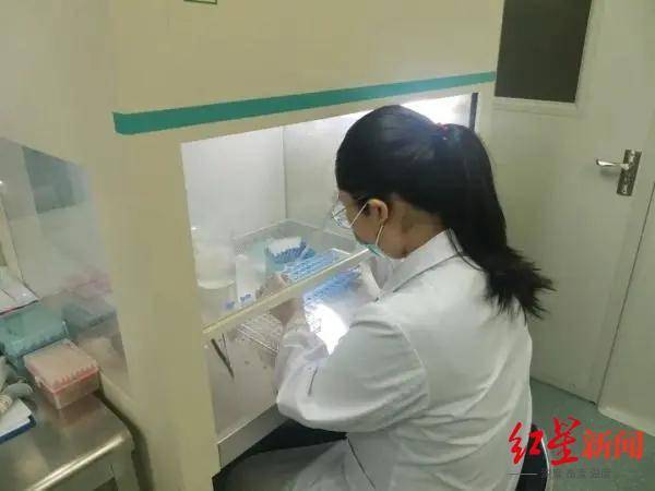 检测|核酸结果出得太慢？从采样到出结果，一份标本要走七大步骤