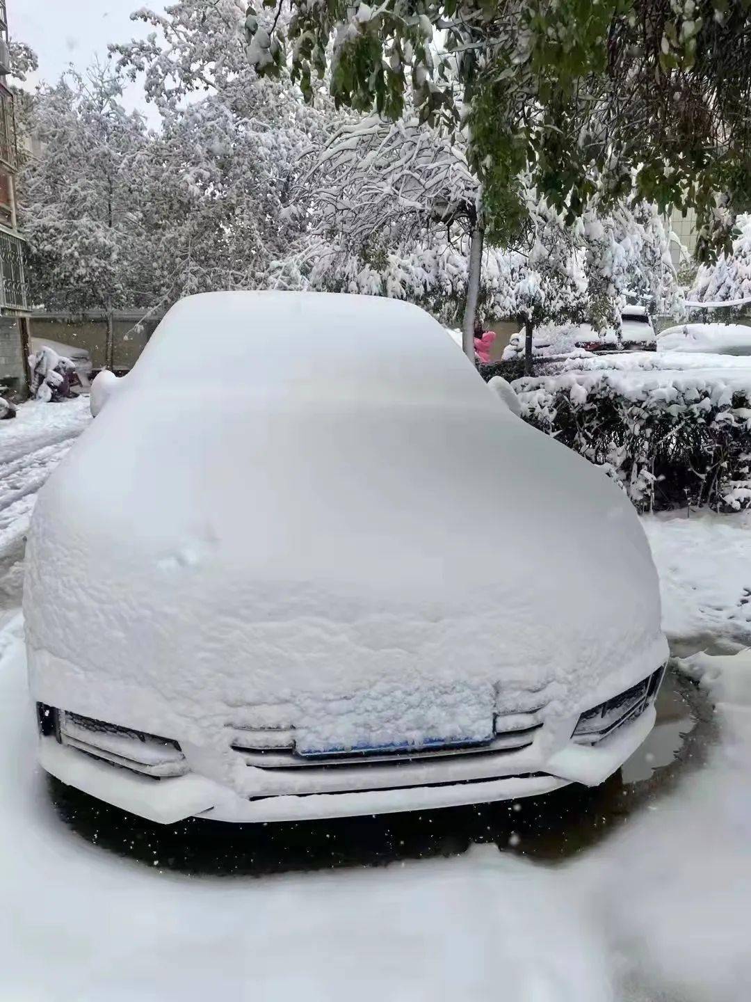 这提前造访的雪精灵所震撼但是保定人还是被虽然早已收到要下雪的消息