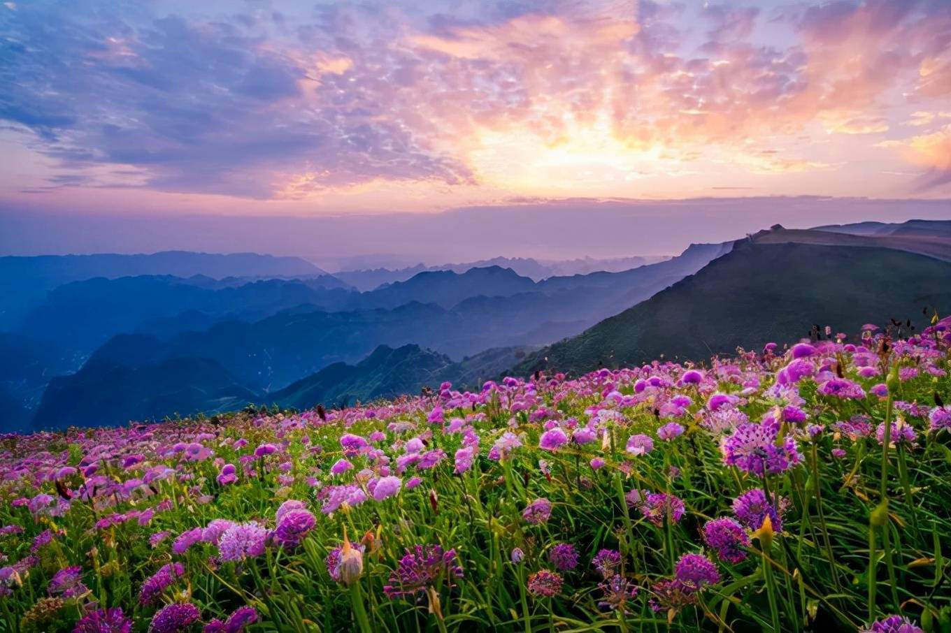 四川毕节冬无严寒夏无酷暑有洞天湖地花海鹤乡美誉