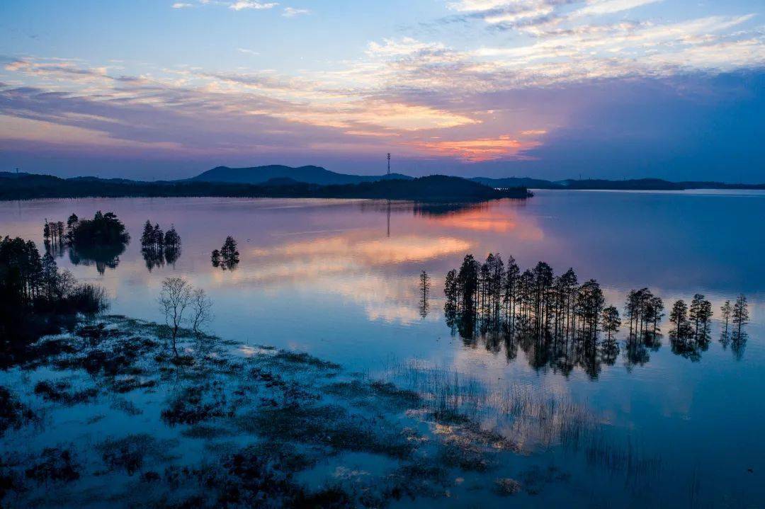 关注5天5次央媒高频聚焦溧阳经验让全国惊艳