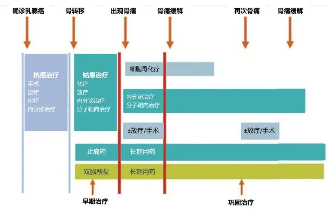 乳腺癌诊治指南2021年版内分泌治疗