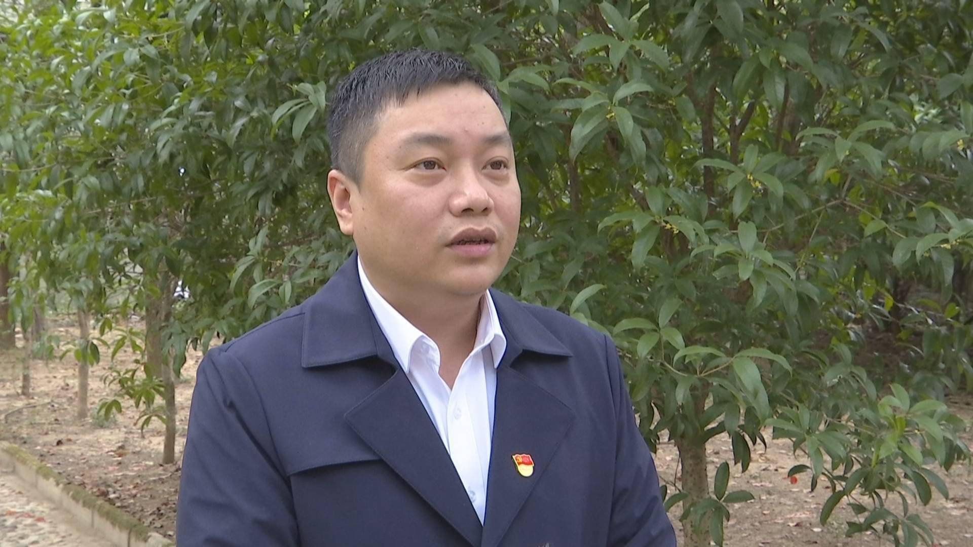 南昌縣武陽鎮學黨史強作風辦實事暖民心