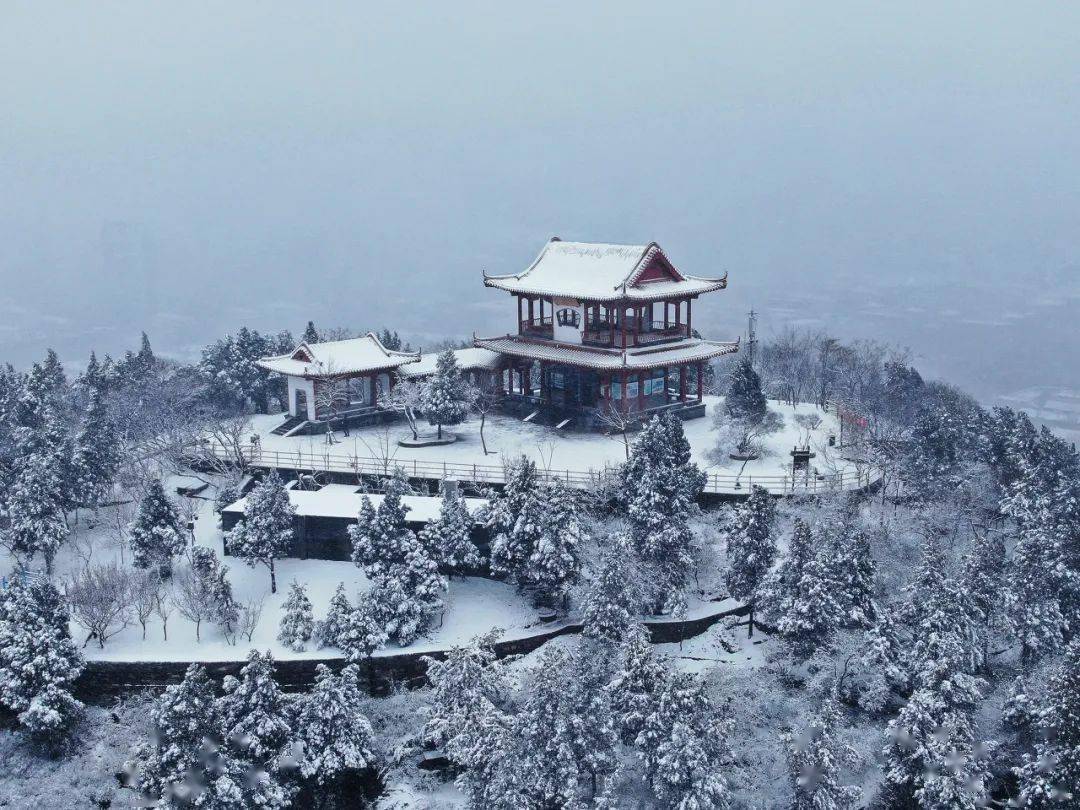 济南|一下雪，济南就成了济南府。