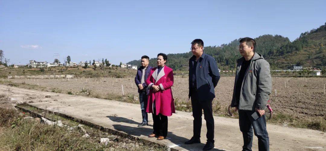 罗智琼到禹谟镇开展督导调研_工作