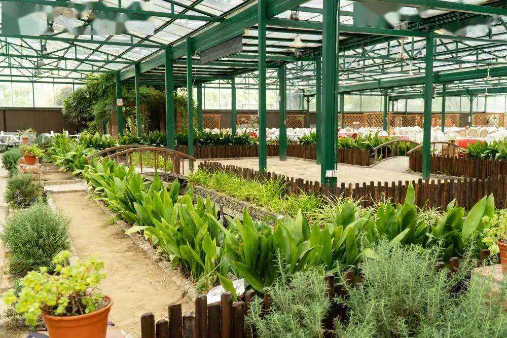 这个开心农场,月接待12.7万人,7天营收185万,原来是这么做的!